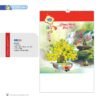 Lịch Treo Tường Lò Xo 2027 NB Mẫu NB253 (16 x 25 cm) Quà Tết Gia Đình Sum Vầy Ý Nghĩa in logo doanh nghiệp quà tặng Tết tại Quà Tặng Gia Dụng VN
